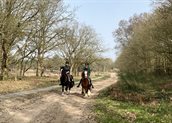 ruiters Holtingerveld 2026